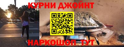 крисы Гай