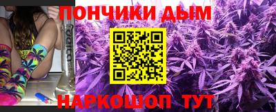 крисы Гай