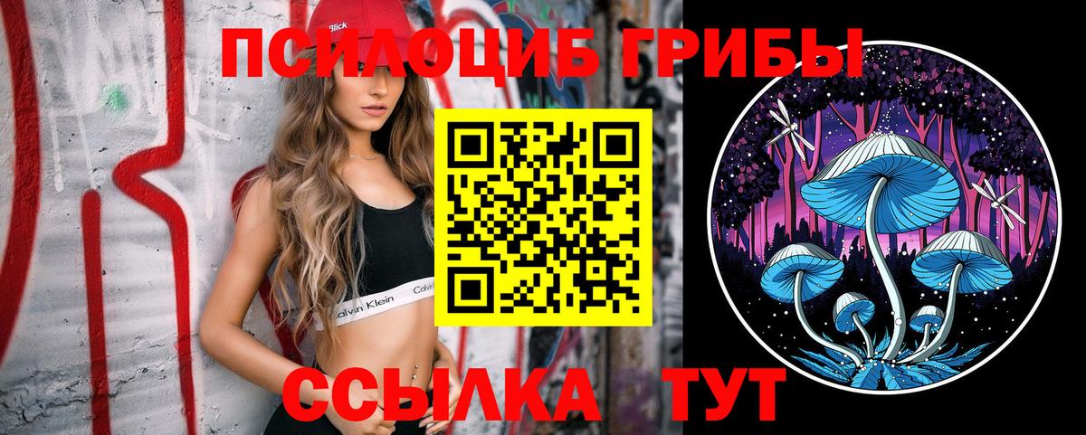 Псилоцибиновые грибы Cubensis Нижнеудинск
