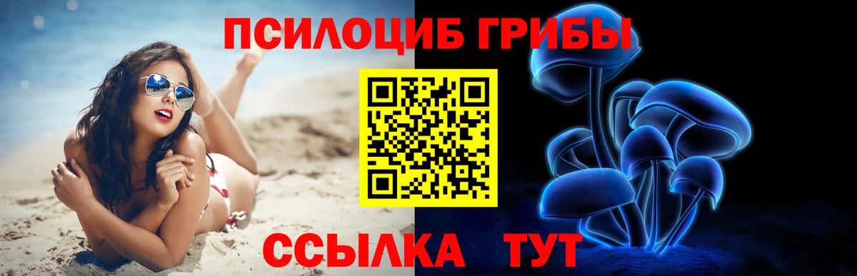 Нижнеудинск  Галлюциногенные грибы MAGIC MUSHROOMS  закладка  Вход с VPN 
